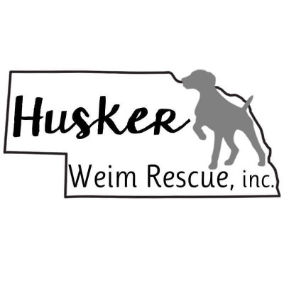 Husker Weim Rescue, Inc. - Pet Shelter and Rescue in Columbus, Nebraska