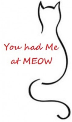 You Had Me At MEOW, Inc. - Pet Shelter and Rescue in West Melbourne, Florida