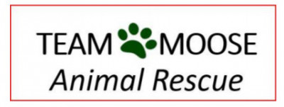 Team Moose Rescue Inc. - Pet Shelter and Rescue in Cape Coral, Florida