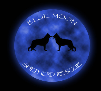 Blue Moon Shepherd Rescue, Inc. - Pet Shelter and Rescue in Rocky Point, North Carolina