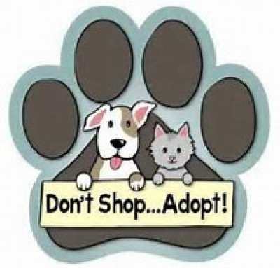 City Of Newport Animal Control - Pet Shelter and Rescue in Newport, Tennessee