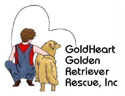 GoldHeart Golden Retriever Rescue, Inc. - Pet Shelter and Rescue in Chester, Maryland