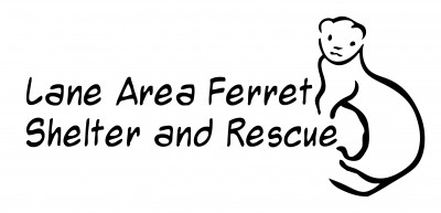 Lane Area Ferret Shelter And Rescue - Pet Shelter and Rescue in Eugene, Oregon