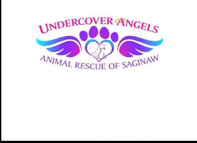 Undercover Angels Animal Rescue - Pet Shelter and Rescue in Saginaw, Michigan