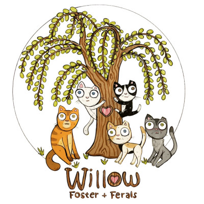Willow Foster And Feral - Pet Shelter and Rescue in Erwin, Tennessee