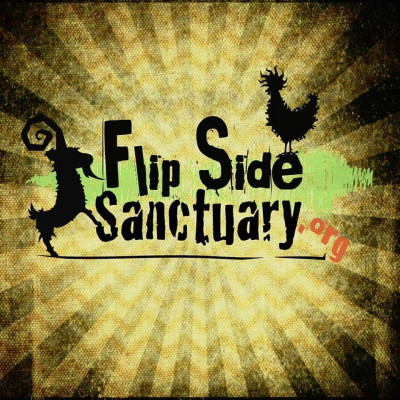 Flip Side Sanctuary - Pet Shelter and Rescue in Tabor City, North Carolina