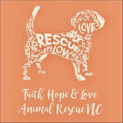 Faith Hope And Love Animal Rescue NC - Pet Shelter and Rescue in Salisbury, North Carolina