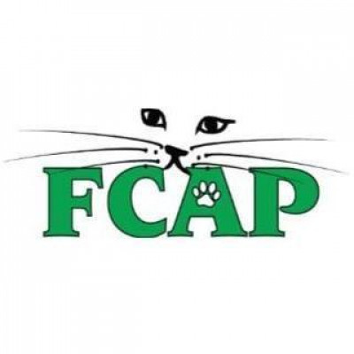 Feral Cat Assistance - Pet Shelter and Rescue in Greensboro, North Carolina