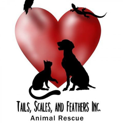 Tails, Scales, And Feathers Animal Rescue - Pet Shelter and Rescue in Pittsfield, Illinois