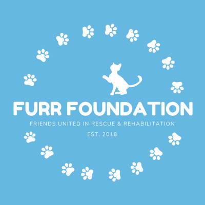 FURR Foundation - Pet Shelter and Rescue in Carrollton, Virginia