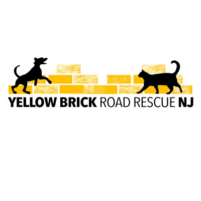 Yellow Brick Road Rescue NJ - Pet Shelter and Rescue in Nutley, New Jersey