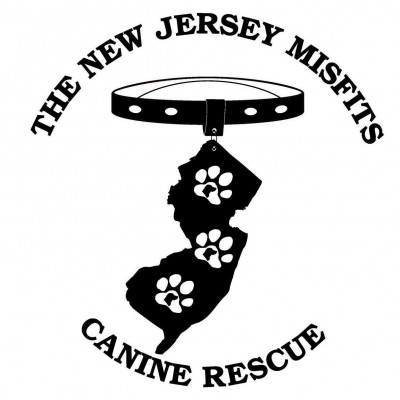 New Jersey Misfits Canine Rescue - Pet Shelter and Rescue in Frenchtown, New Jersey