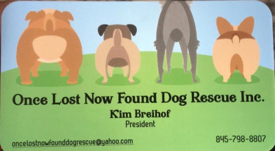 Once Lost Now Found  - Pet Shelter and Rescue in Jeffersonville, New York