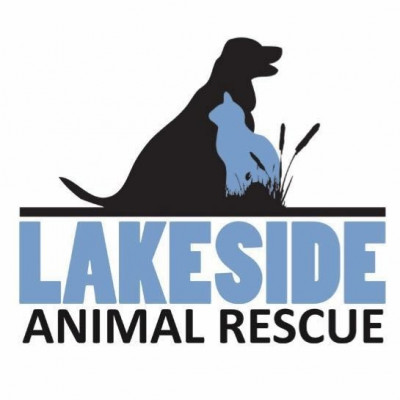 Lakeside Animal Rescue - Pet Shelter and Rescue in Eutawville, South Carolina