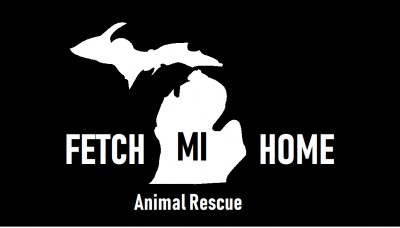 Fetch MI Home Animal Rescue - Pet Shelter and Rescue in Wyoming, Michigan