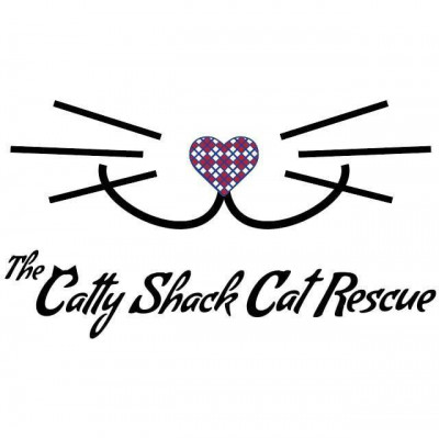 The Catty Shack Cat Rescue And Sanctuary Inc - Pet Shelter and Rescue in Ben Wheeler, Texas