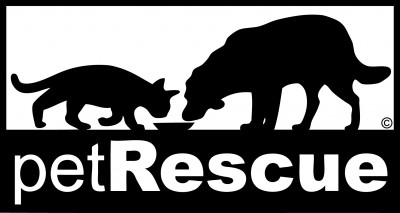 Pet Rescue - Pet Shelter and Rescue in Harrison, New York