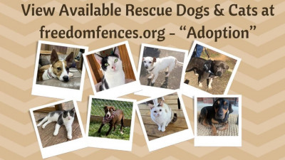 Freedom Fences - Pet Shelter and Rescue in Anderson, South Carolina