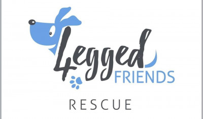 4 Legged Friends - Pet Shelter and Rescue in Shallowater, Texas