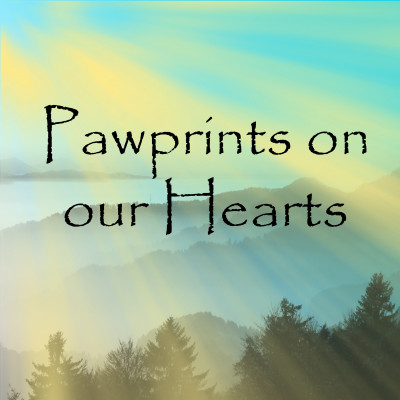 Pawprints On Our Hearts Rescue - Pet Shelter and Rescue in Racine, Wisconsin