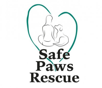 Safe Paws Rescue Inc - Pet Shelter and Rescue in St. Petersburg, Florida