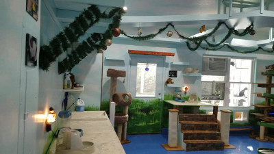 Head Butt Hotel - Pet Shelter and Rescue in North Myrtle Beach, South Carolina