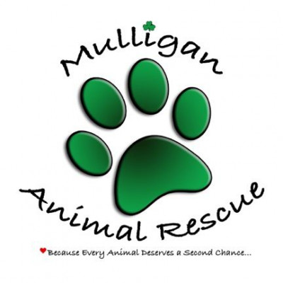 Mulligan Animal Rescue Inc. - Pet Shelter and Rescue in East Greenwich Township, New Jersey