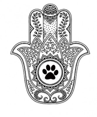 Deity Animal Rescue - Pet Shelter and Rescue in Beverly Hills, California