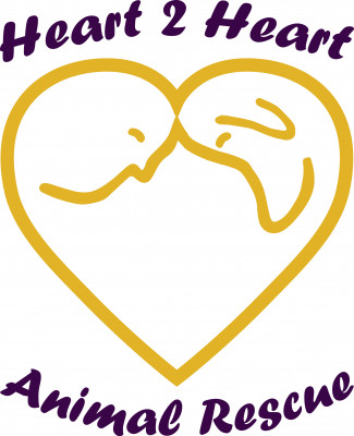 Heart2Heart Animal Rescue - Pet Shelter and Rescue in Surprise, Arizona