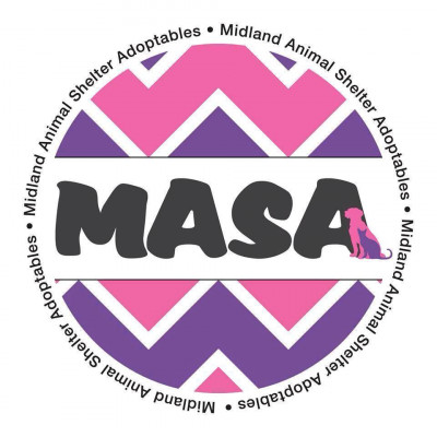 Midland Animal Shelter Adoptables MASA - Pet Shelter and Rescue in Midland, Texas
