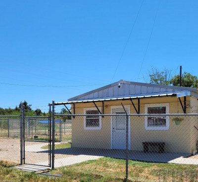 Rockdale Animal Shelter - Pet Shelter and Rescue in Rockdale, Texas