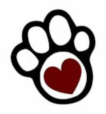 Animal Rescue Foundation Of SE Pennsylvania Inc. - Pet Shelter and Rescue in Media, Pennsylvania