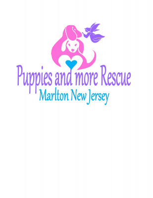 Puppies And More Rescue Adoption - Pet Shelter and Rescue in Evesham, New Jersey