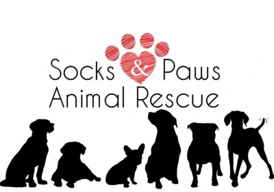 Socks And Paws Animal Rescue - Pet Shelter and Rescue in Ridgecrest, California