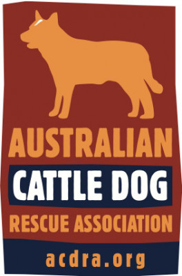 Australian Cattle Dog Rescue Association, Inc. - Pet Shelter and Rescue in Philadelphia, Pennsylvania