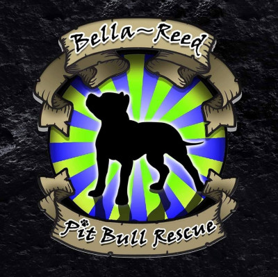 Bella-Reed Pit Bull Rescue - Pet Shelter and Rescue