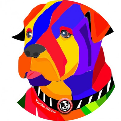 LA ADOPT  - Pet Shelter and Rescue in Redondo Beach, California