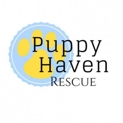 Puppy Haven Rescue Inc. - Pet Shelter and Rescue in Bixby, Oklahoma