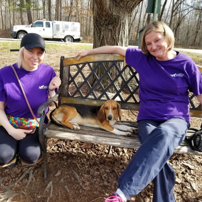 Guilford County Animal Shelter - Pet Shelter and Rescue in Greensboro, North Carolina