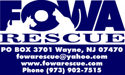 FOWA - Pet Shelter and Rescue in Wayne, New Jersey
