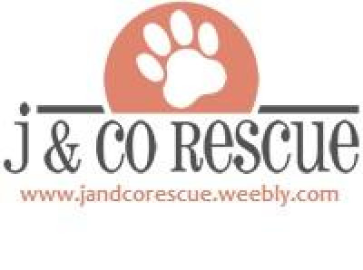 J  And Co Rescue - Pet Shelter and Rescue in Franklin, New Jersey