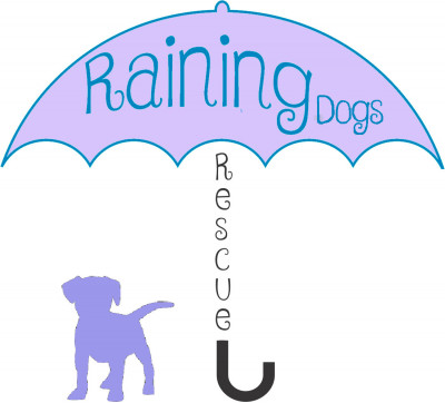 Raining Dogs Rescue - Pet Shelter and Rescue in Eugene, Oregon