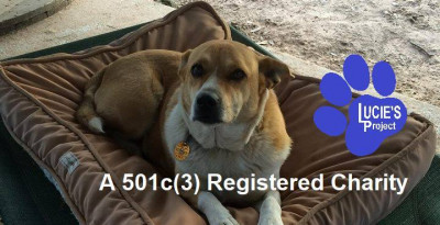 Lucies Project - Pet Shelter and Rescue in Sheridan, Texas