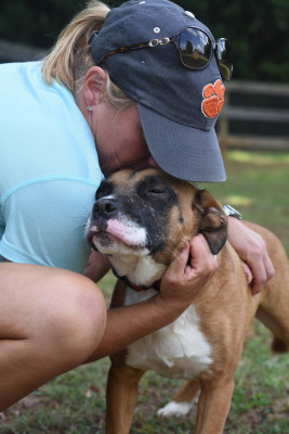 Freedom Farm Rescue - Pet Shelter and Rescue in Monroe, North Carolina