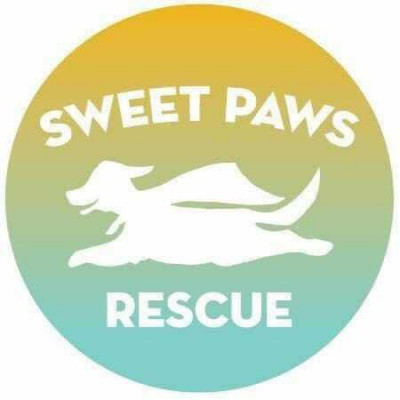 Sweet Paws Rescue - Pet Shelter and Rescue in Groveland, Massachusetts