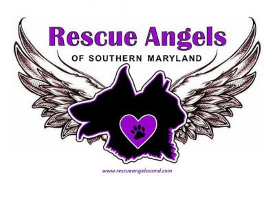 Rescue Angels Of Southern Maryland, Inc. - Pet Shelter and Rescue