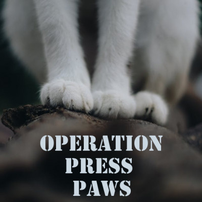 Operation Press Paws - Pet Shelter and Rescue in Martinsburg, West Virginia