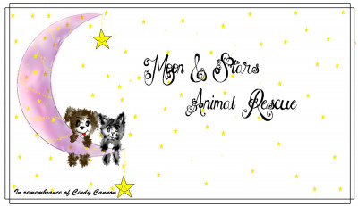 Moon And Stars Animal Rescue - Pet Shelter and Rescue in Tucson, Arizona