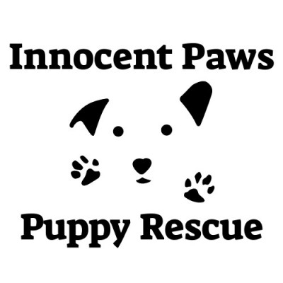 Innocent Paws Puppy Rescue - Pet Shelter and Rescue in Loveland, Colorado