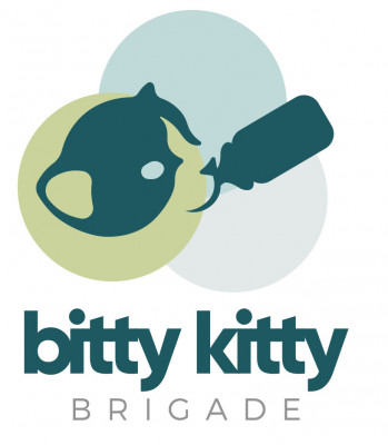 The Bitty Kitty Brigade - Pet Shelter and Rescue in Saint Paul, Minnesota